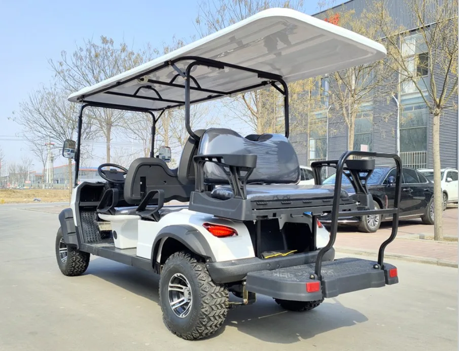 Electric Golf Cart 2/4/6/8 Seaters 60V100A UTV ATV Factory Directly
