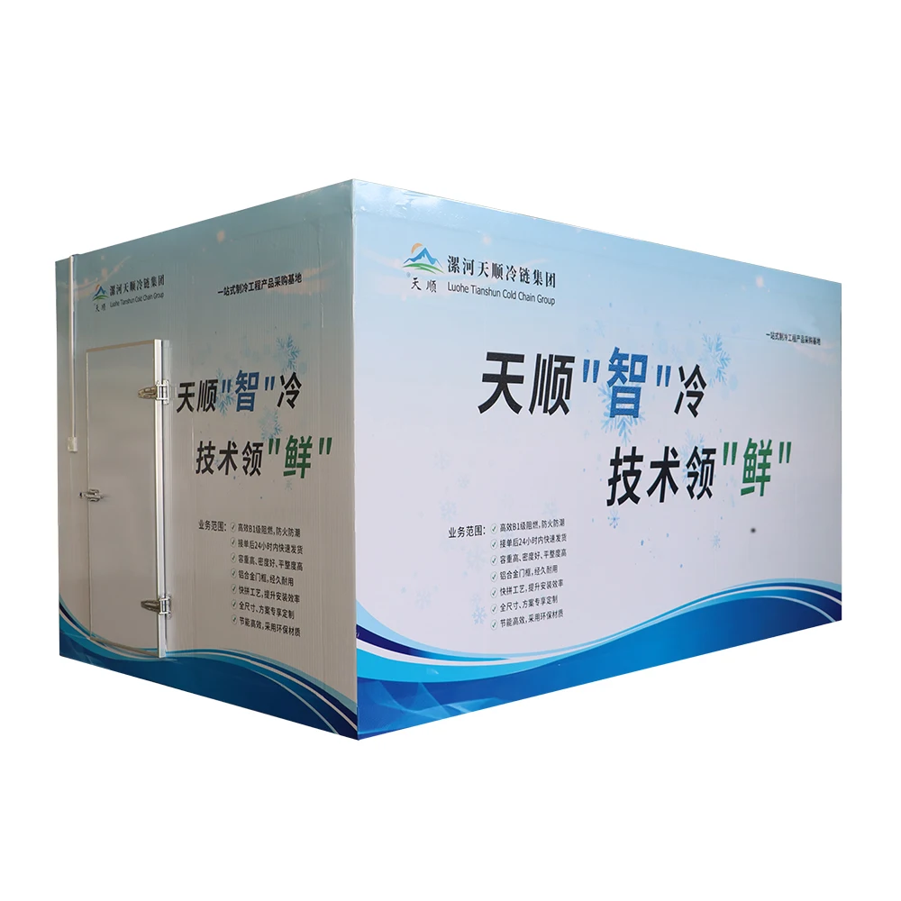 Commercial Hotel Cold Storage Refrigerator Meat Freezer Cold Room Refrigerator