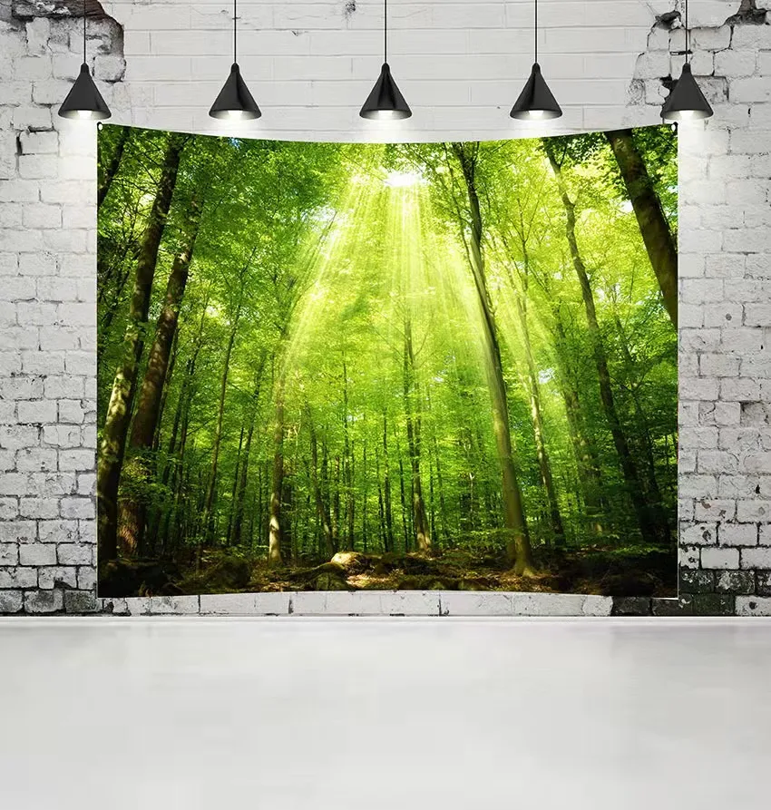 Home Decor Printing Wall Hanging Tapestries Modern Customized Logo Cotton 3D Print Low MOQ Tapestry