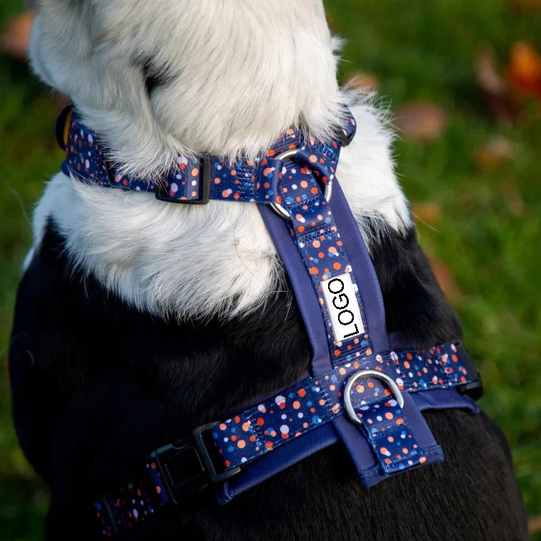 Step In Padded H/Y Shape Dog Harness Manufacturer Customize Logo Colors Adjustable Pet Harness Leash Set