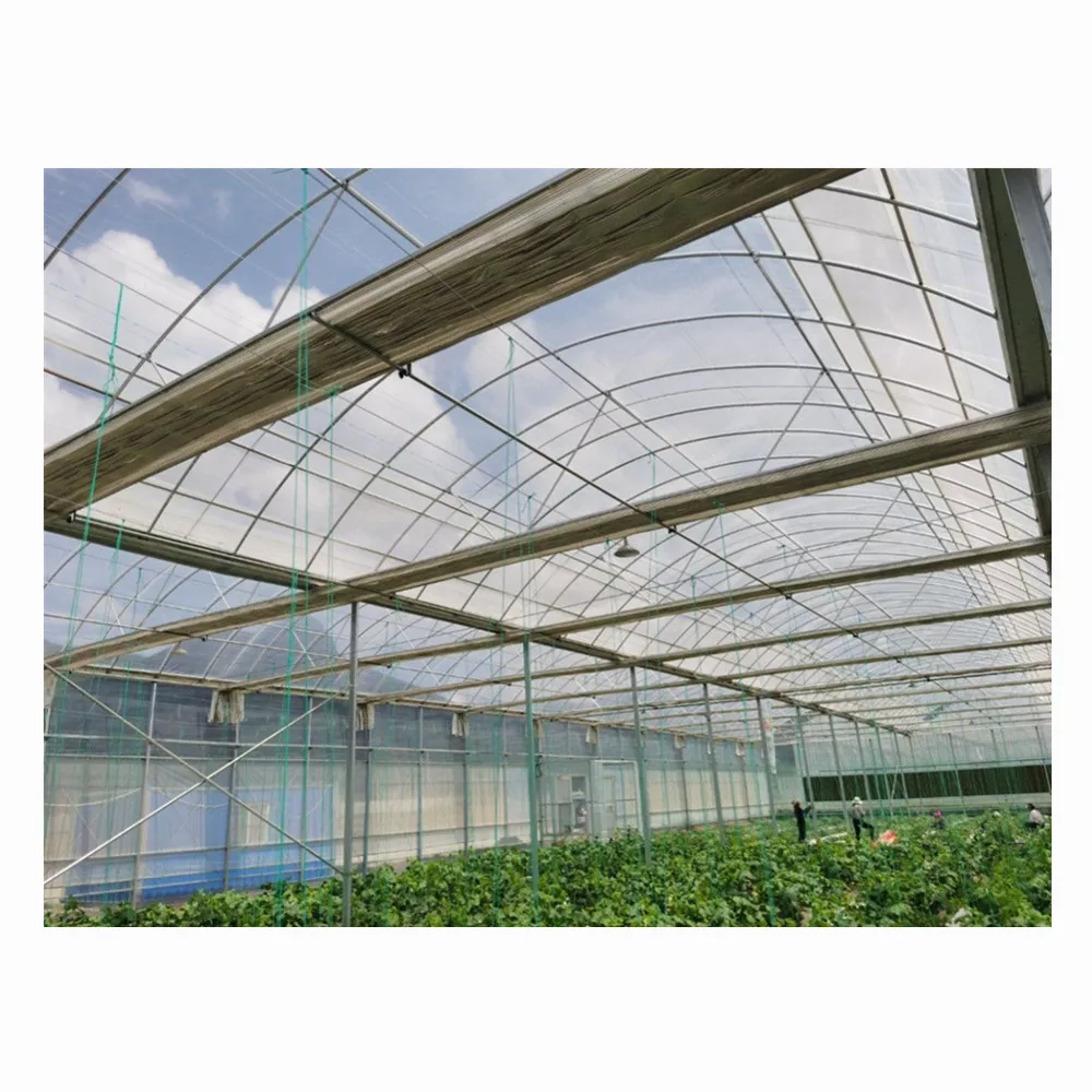 Single-span Greenhouses Agriculture Greenhouse For Planting