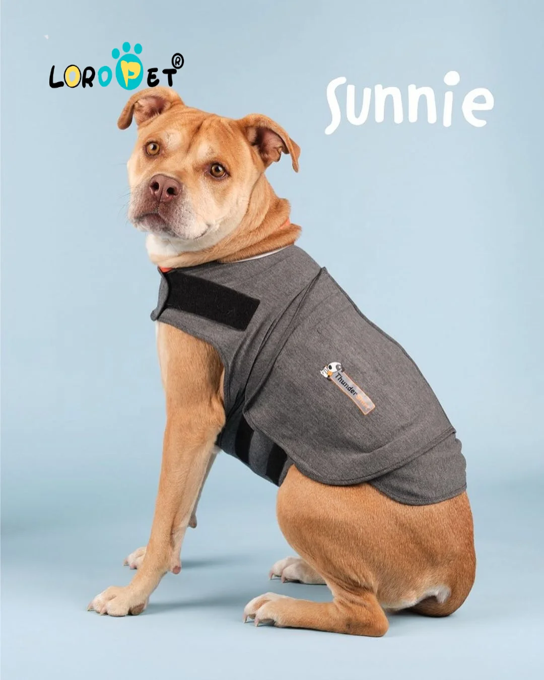  Спортивная куртка Thundershirt с изображением собаки и тревоги одежда надписью Keep Calm мягкие рубашки из высококачественной ткани грозы для домашних животных снятие стресса огня
