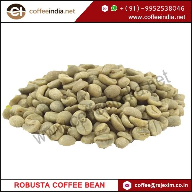 
Indian Robusta AA Coffee Bean 