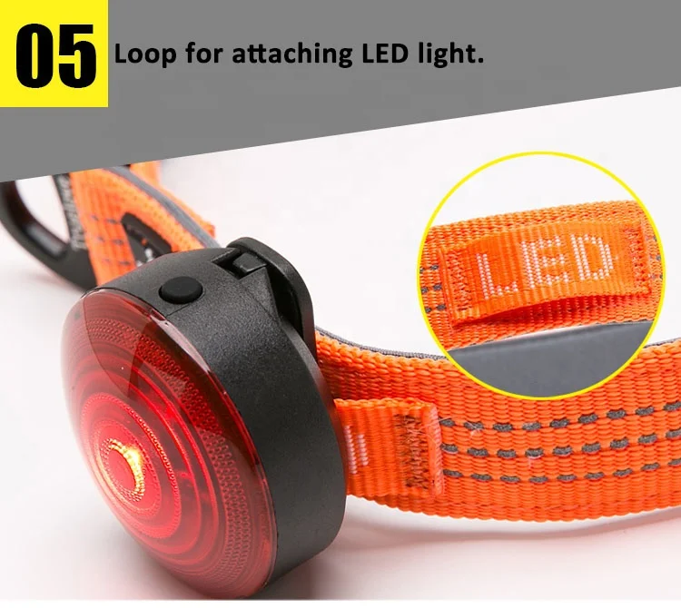 Truelove Hot Selling Printed Cat Paw Design multiple color adjustable Pet Collar nylon cat dog collar with belt