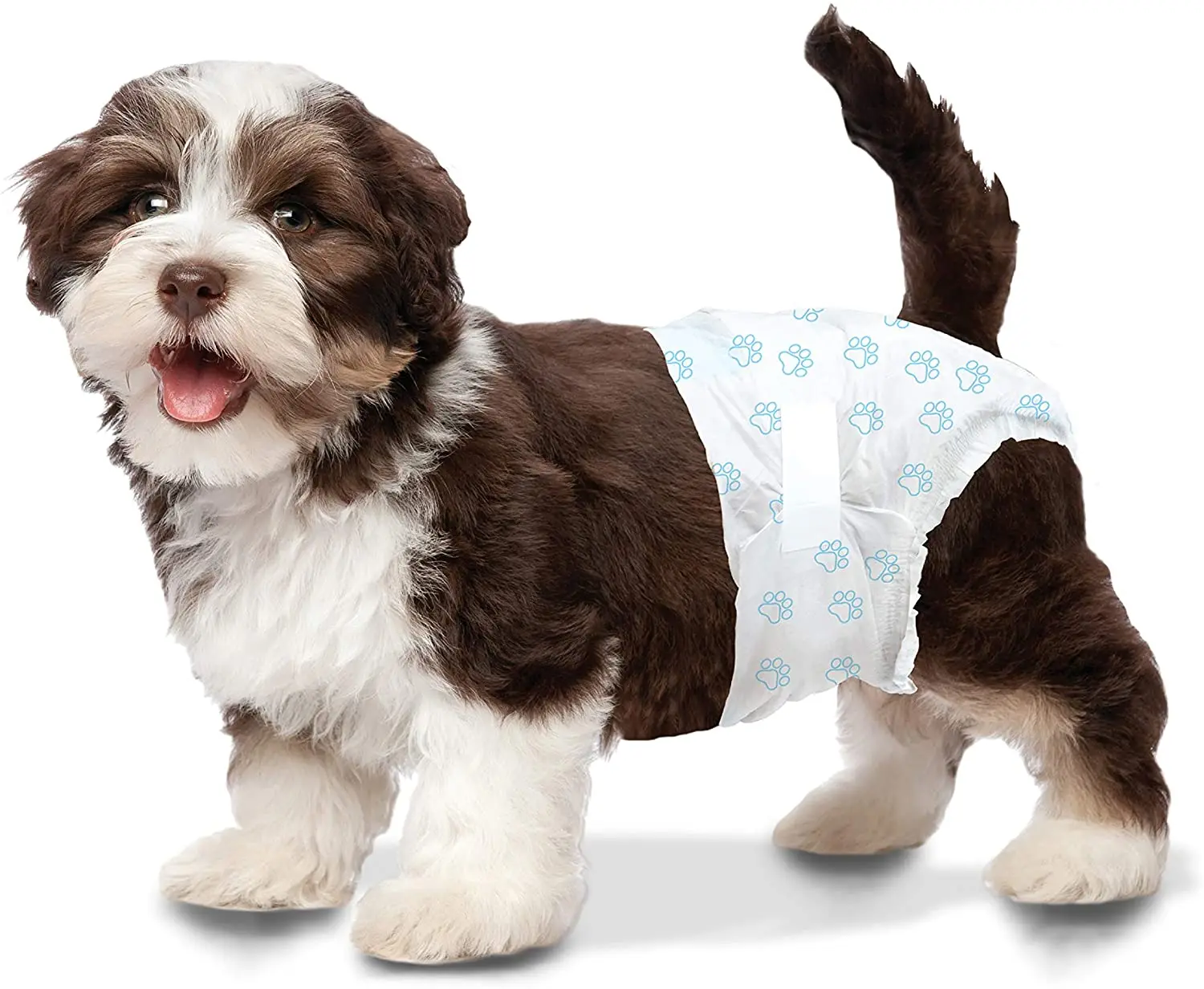 Disposable Pet Diapers for Male and Female Dogs