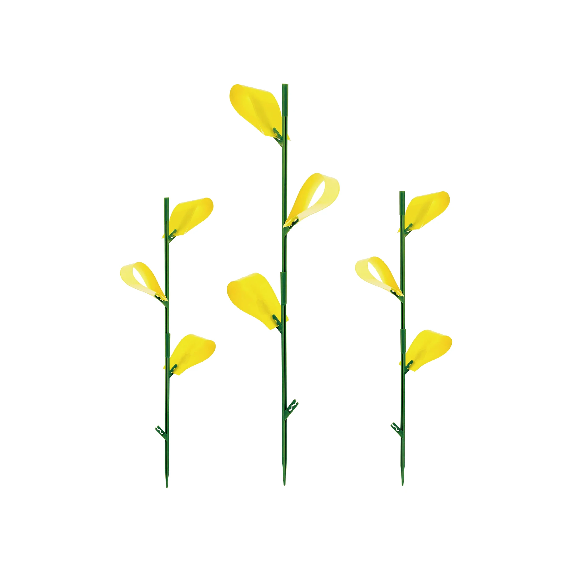 Dayoung Yellow Plant Gnat Sticky Traps Fruit Fly Sticky Traps for Insect Trap