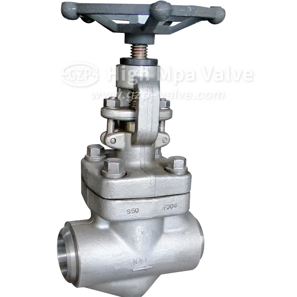 ASTM A105 A105N A182 A336 F304 F304L F316 F316L F317L Female Screw Forged Steel Globe Valve