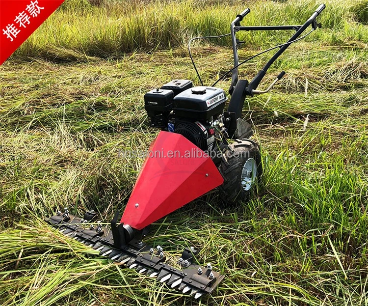 Lawn mower (1).jpg