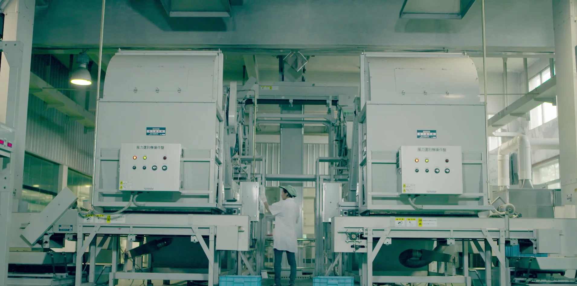 Guandong Ya Shi Xiang Phoenix Dan Cong Oolong Tea for bubble tea shop Fenghuang Dancong Oolong tea