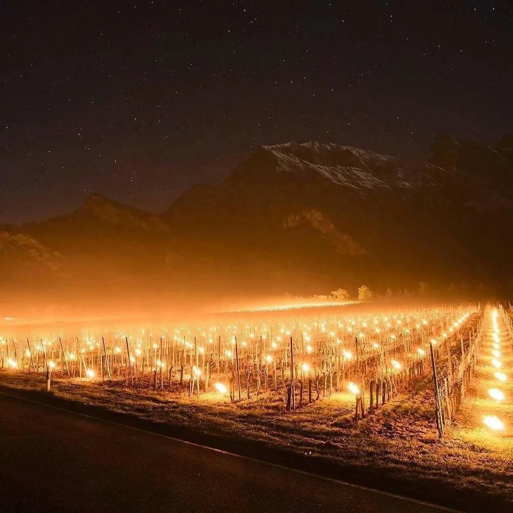 Anti-Frost candle  Grape antifreeze candle Outdoor fruit garden Antifreeze candles