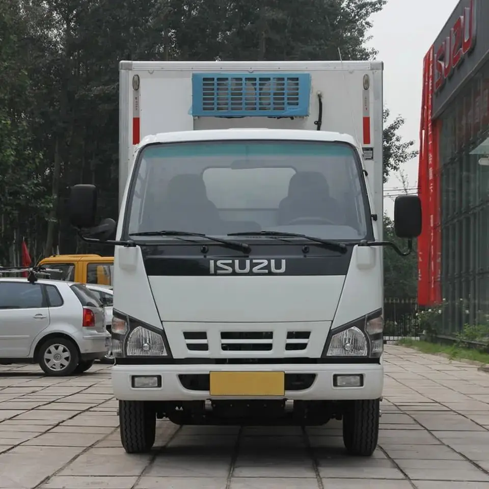Новый грузовик-рефрижератор ISUZU 4x2 грузовой автомобиль-рефрижератор