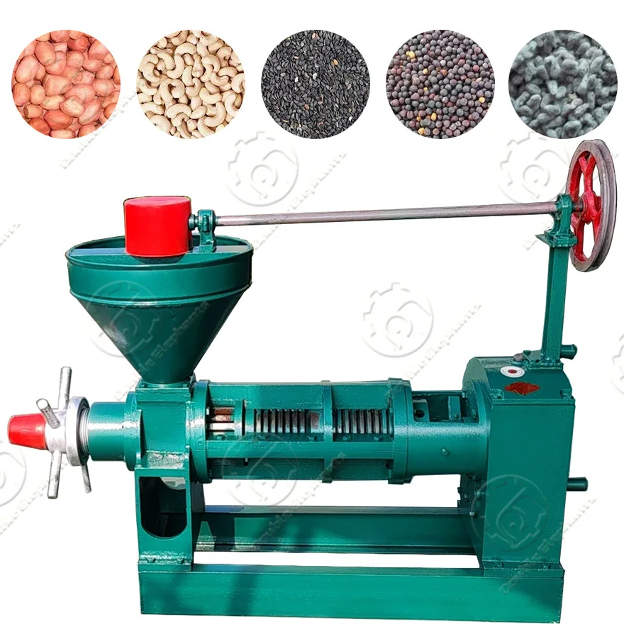 6YL-80 100kg/h Small soybean peanut oil extractor Sunflower seeds oil press machine