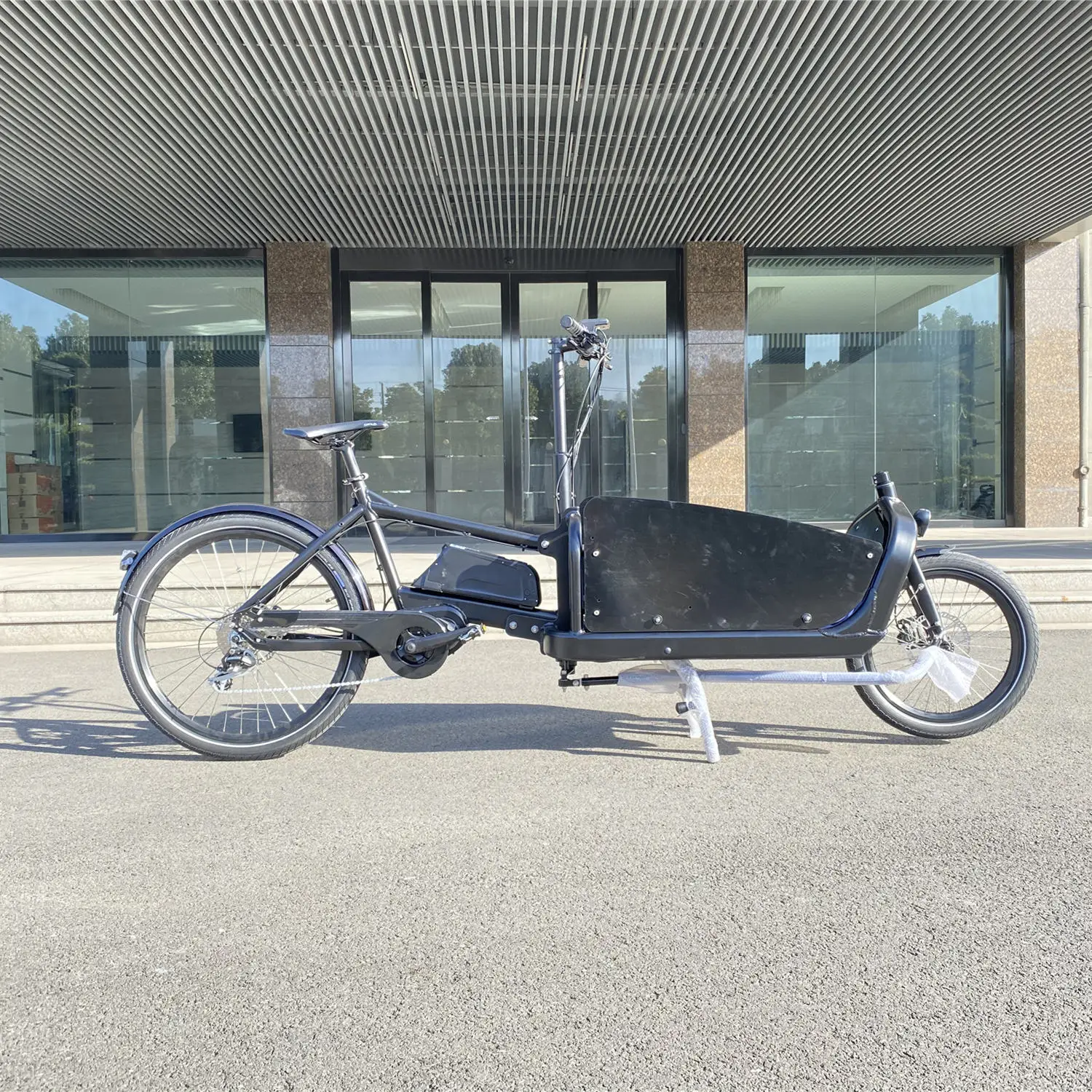 Frame 6061 Family Cargo Bike 2 Wheel Trike Middle Motor Hydraulic Disc Brake Model Cheetah Electric Alloy Aluminum LCD Display