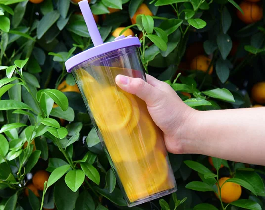 Amazon top seller Double wall clear Acrylic plastic cup Hot sales 24oz Tumbler beverage cup with Straw and lid
