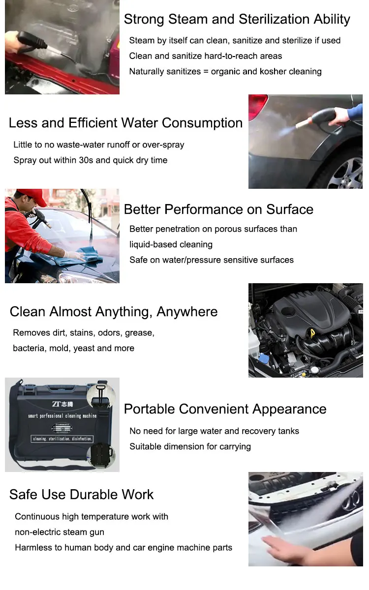 OEM Handheld 3680w 4-8bar Air Purify Sterilizer Car Washer Spray Machine Dry High Pressure Car Steam Cleaner for Auto Detailing
