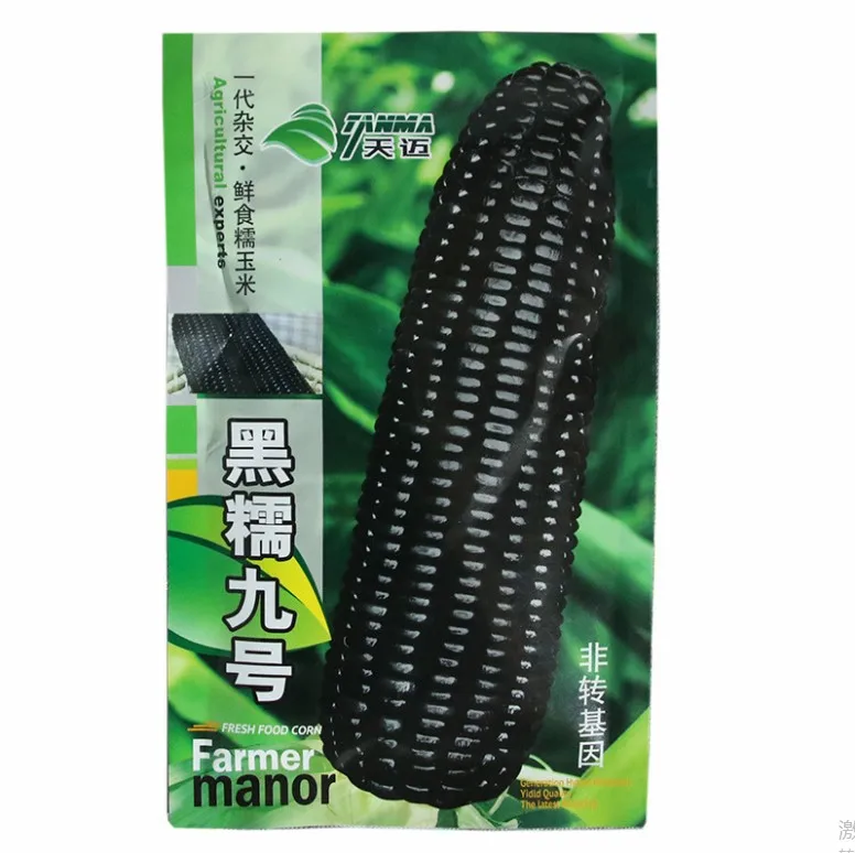 
Touchhealthy supply easy to plant fresh black sweet corn seeds/waxy maize seeds 100gram/bags 