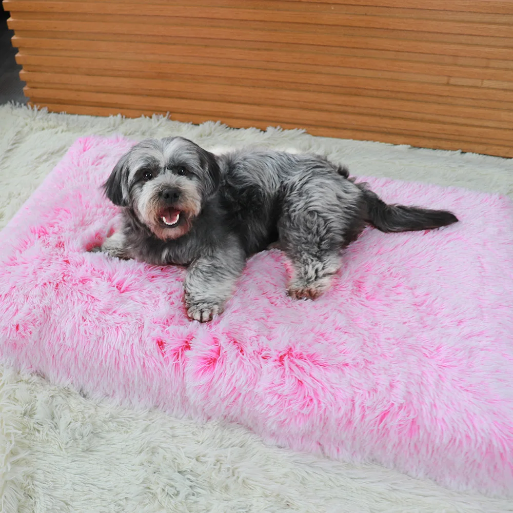 luxury elevated best trending product 2021 memory foam Faux fur pet bed New Design cama de perro dog bed hunde bett