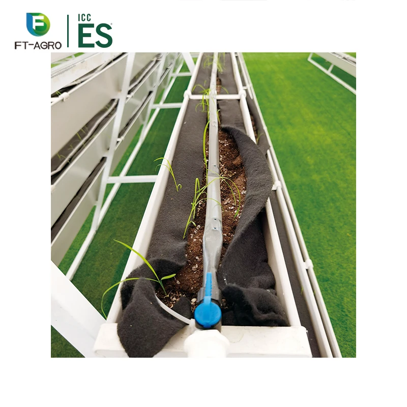 Agricultural equipmentHot sale and best selling Seeding Bed For Vegetable Growing