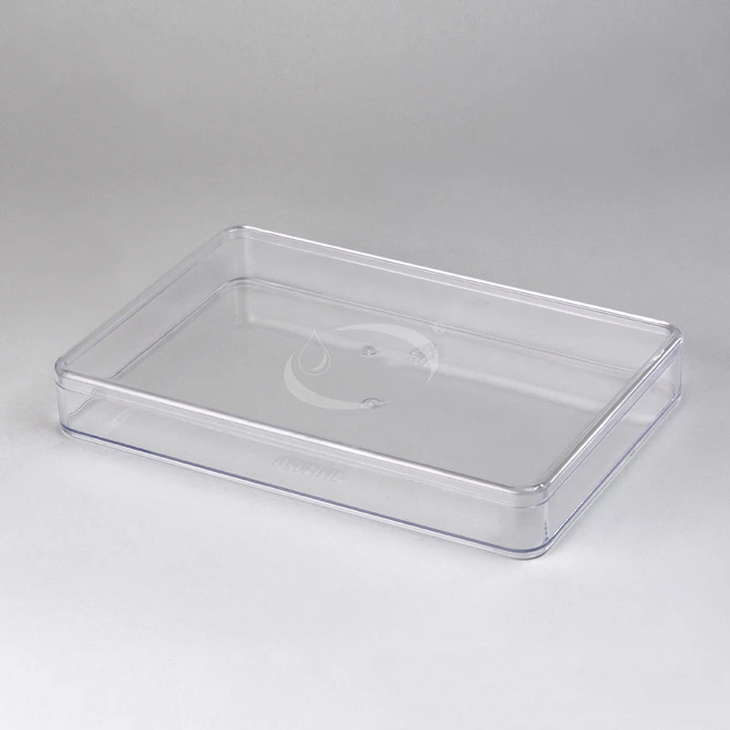 injection molding transparent box Baking packaging box biscuit flat fruit thousand layer cake Mousse Cake cookie
