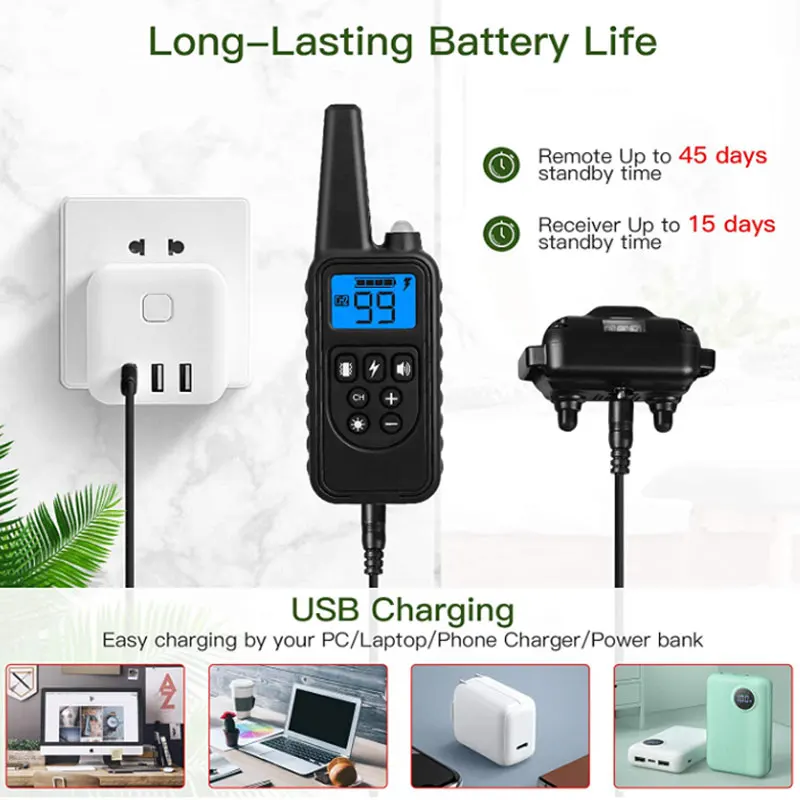 Amazons Online Morocco Waterproof Rechargeable Adjustable Remote Nylon Electric Dog Collar For 3 Dogs