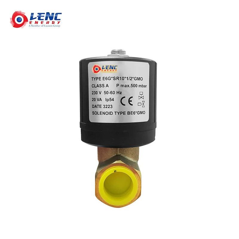 E6G S8 S10 SR8 SR10 1/2 GMO 13742002 18811053 220V series gas solenoid valve