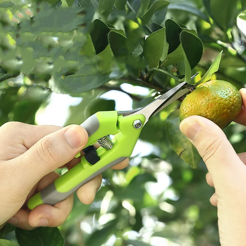 Gardening Pruning &  Fruit Scissors  Grape Picking sharp-tongued Shears Fruit Scissors