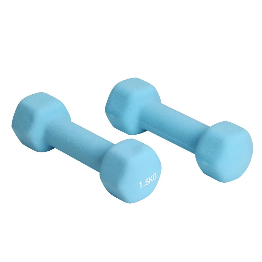 Wholesale Colorful Vinyl Neoprene Coated Weight Lifting Rubber Dumbbell