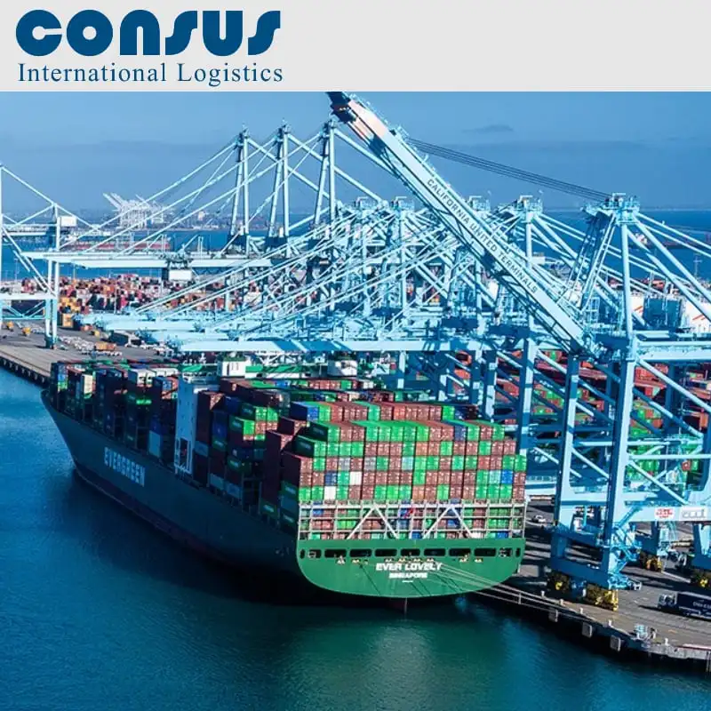 TOP 10 logistics service sea shipping China to Venezuela