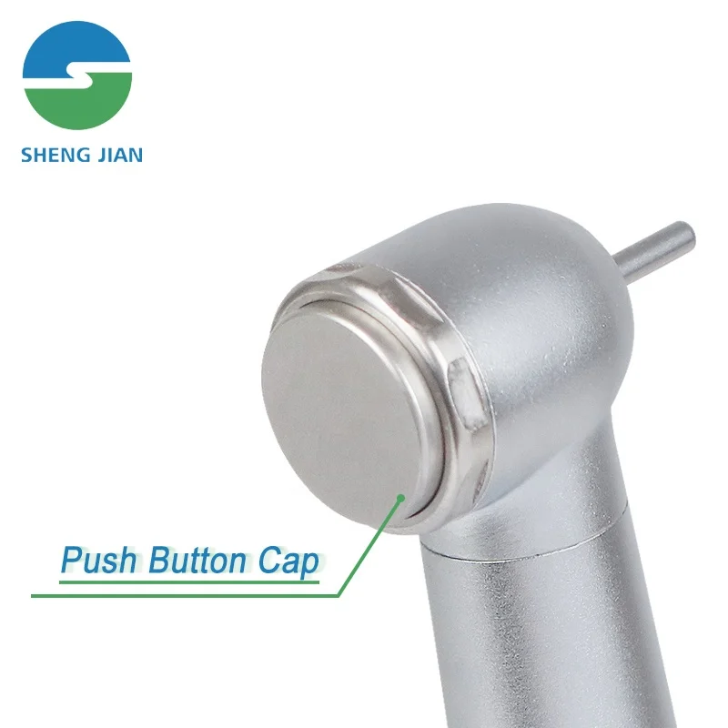 LXG49 SJ Dental High Speed None Led Torque Head Turbine Sterilizable135 C 2Holes B2 Open Cartridge Mini Head Led Handpiece