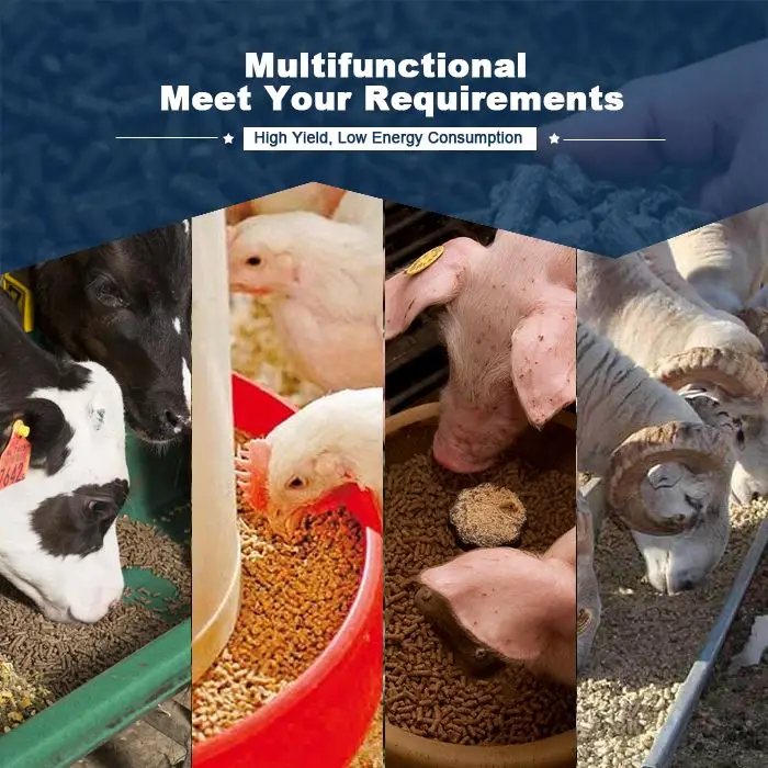 BEST Multifunctional Small Cattle Poultry Animal Broiler Chicken Livestock Feed Pellet Making Machine for Manufacturing Fodder