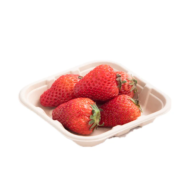 Good Quality Biodegradable Food Trays  Bagasse Disposable Supermarket Fruit Tray Paper