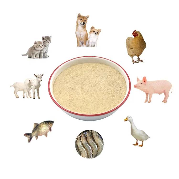Оптовая продажа добавка для biofloc 10B CFU/g пробиотики Bacillus Subtilis лечения