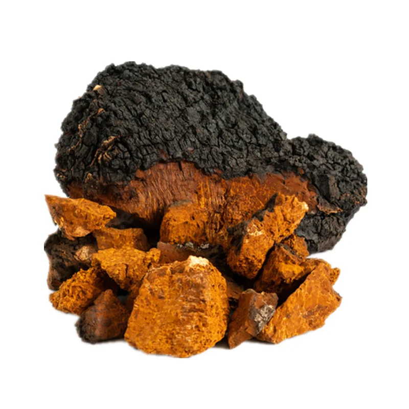 Hot sale EU/USDA certified organic chaga extract powder 30% polysaccharides fruit body