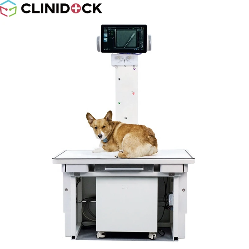 Portable X-ray Machine 5kw Veterinary Ray X 4KW High Frequency