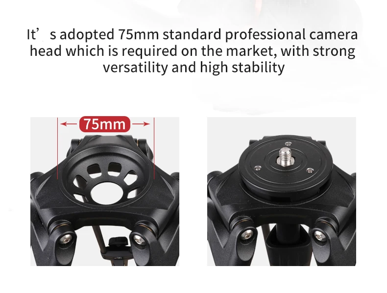 Coman trypod stand  for camera video  professional video camera tripod 1.89m for nikon dslr camera with new fluid head Q5S