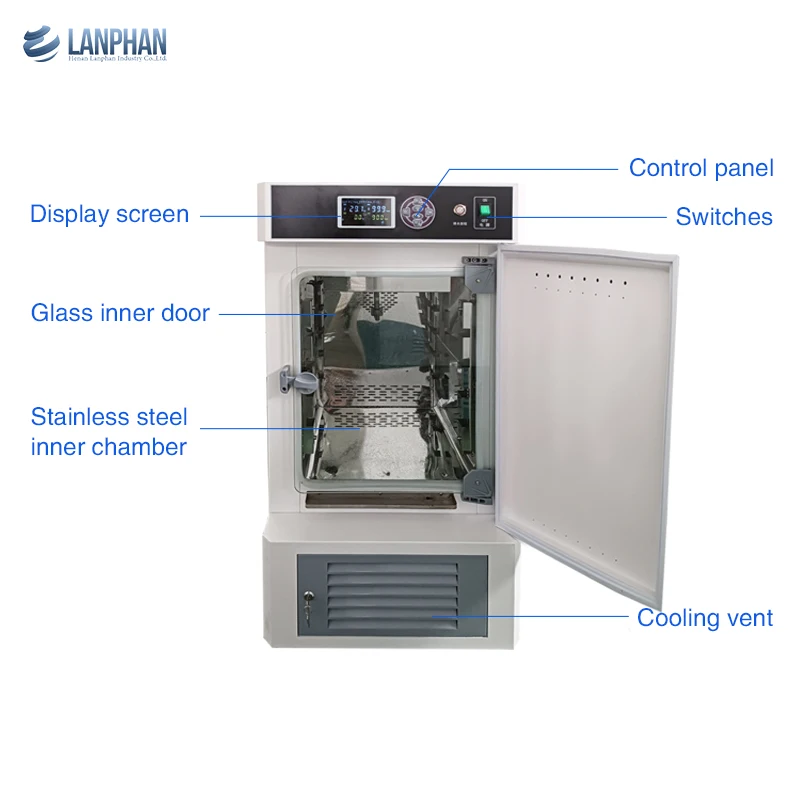 80L/150L/250L/350L/450L Biochemistry Cultivation Culture Biochemical Incubator CFC free, eco-friendly