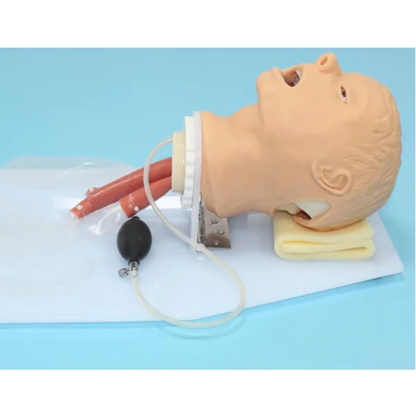 Усовершенствованный симулятор интубации трахеи, медицинский манекен для обучения уходу