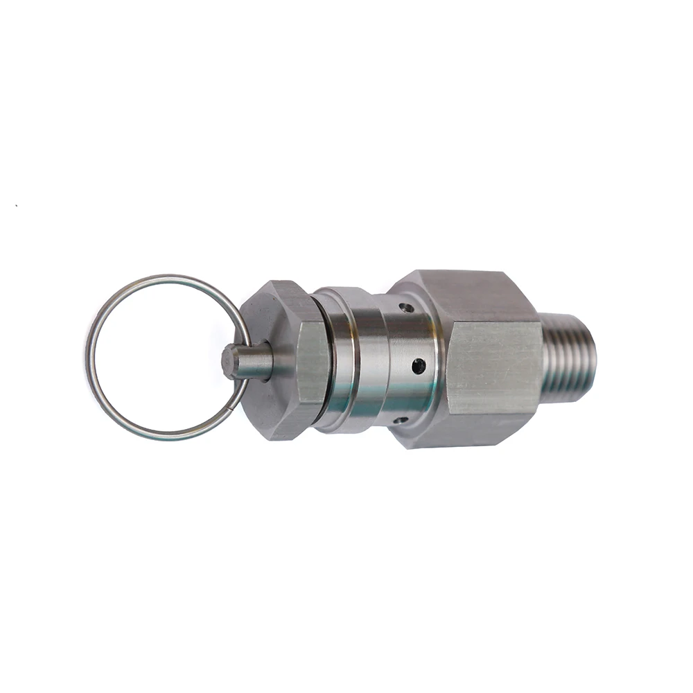 Small Pressure Relief Valve Adjustable Stainless Steel Safety Valve for Pressure Tank