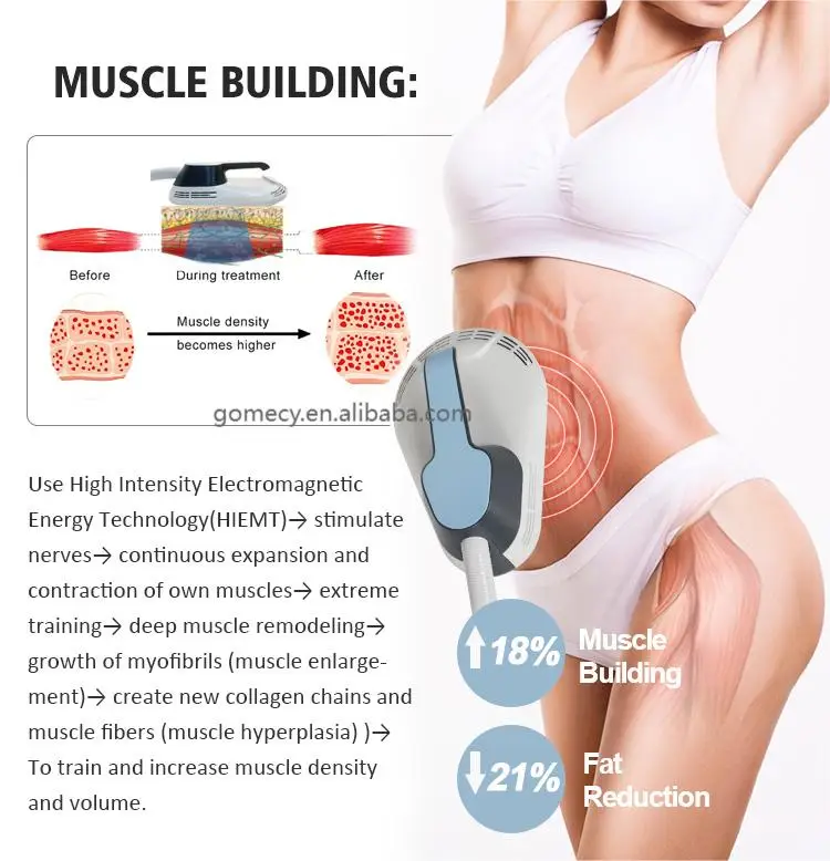 Body-Beauty-Equipment-10d-Maxlipo-with-HIEMT-Master-Laser-Cold-Lipo-Laser-with-10-Light-Panels-Green-red-Laser-Burning-Fat-Machine