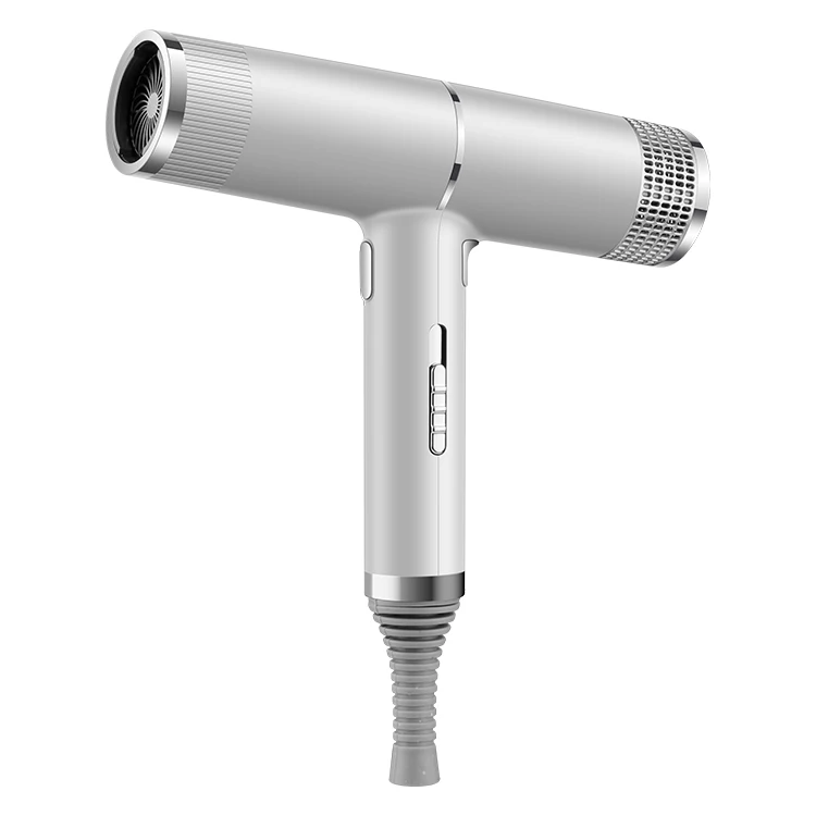 
Professional Equipment Use Easy New Concept Hair Blow Dryer For Hotel Bathroom 
