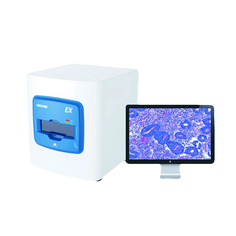 5 Slides Digital Pathological Slide Scanner