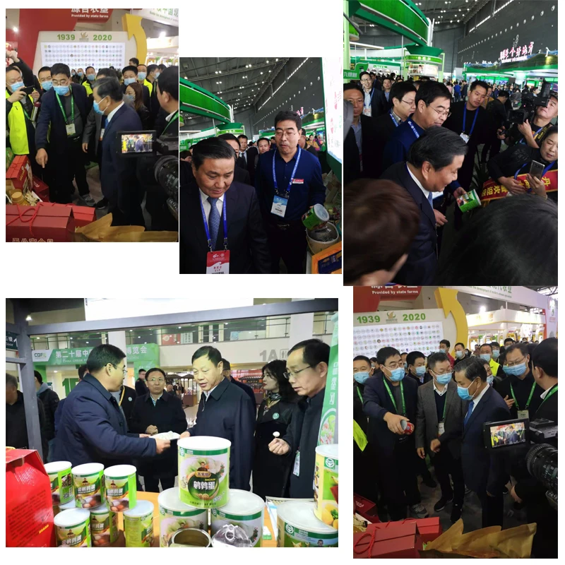 Canned food of caned fresh quail eggs  China wholesale Canned Quail Eggs in Water for sale