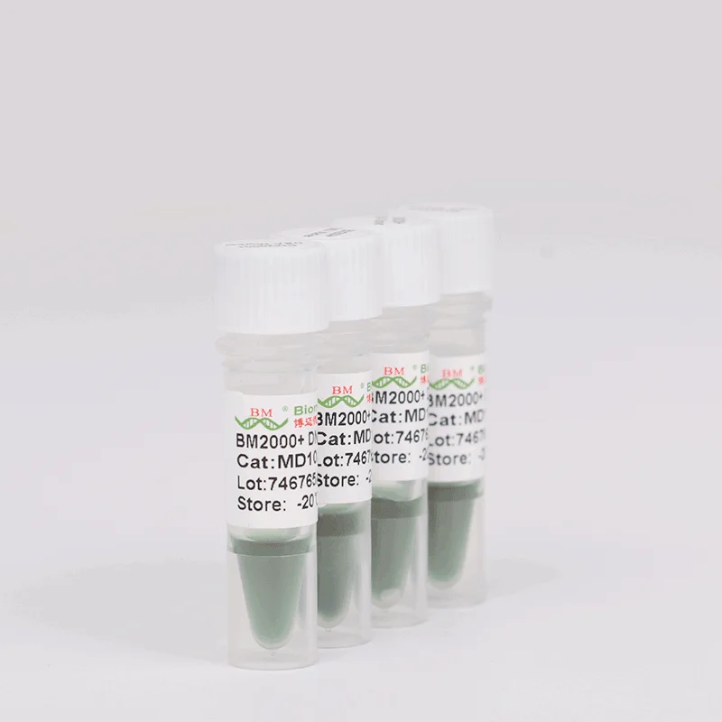 Wholesale OEM High Performance BM2000  DNA Marker Biochemical reagent