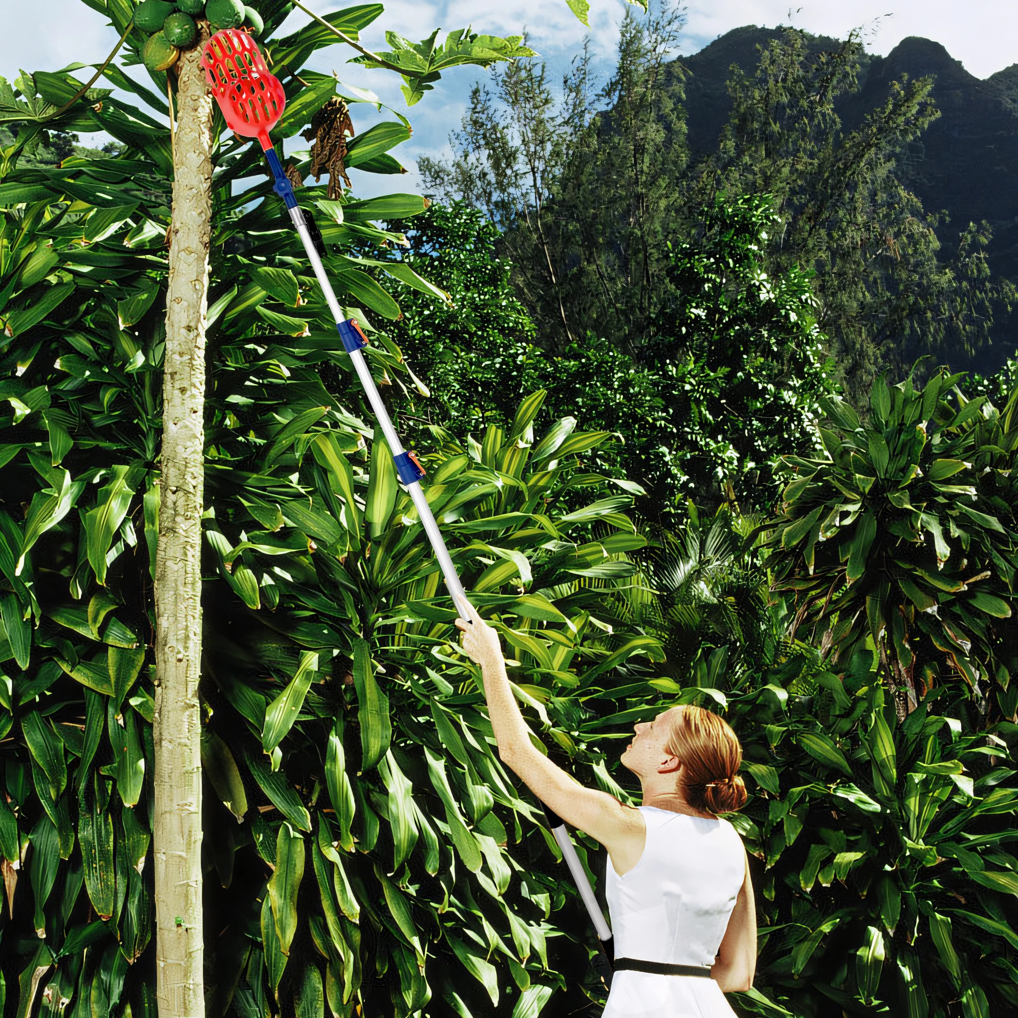 12FT 24FT 24FT 30FT Fruit Picker with Aluminum Alloy Telescopic Extension Pole  for Apples Mango Pear Orange Avocados