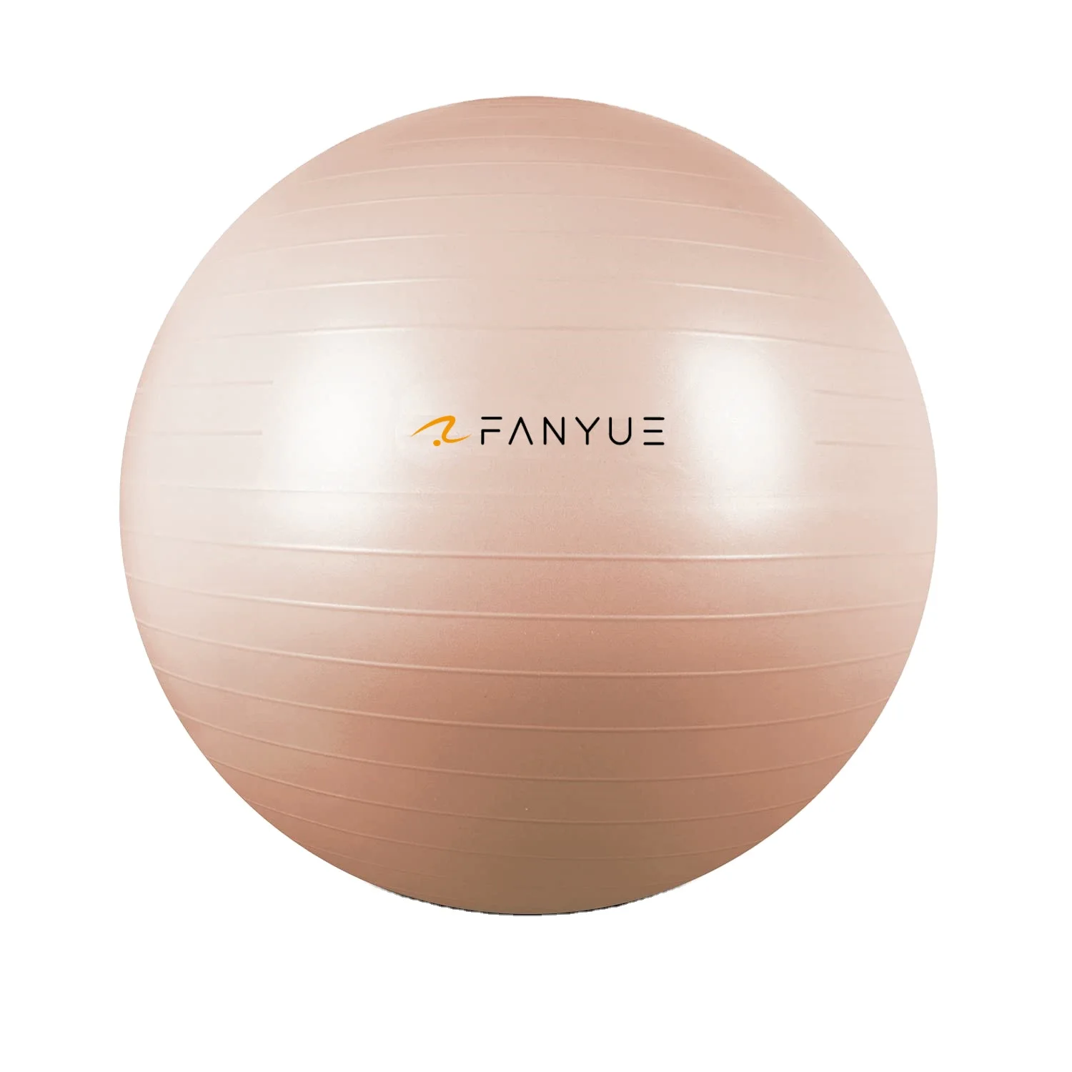Fitness Exercise Pvc 65cm Pilates Yoga Ball Anti-Burst Exercise Ball Yoga Ball With Quick Pump