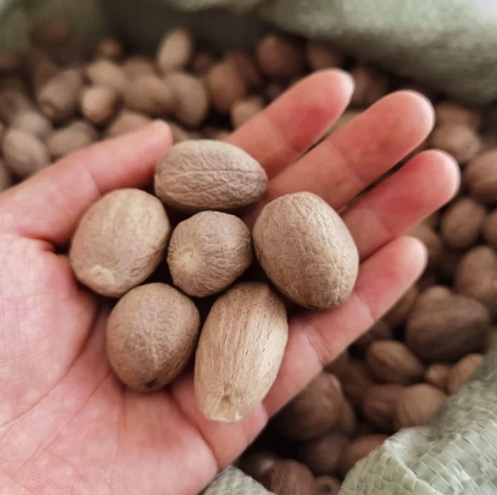 Hot Selling Cardamom All Natural Shellless Nutmeg Bulk Spice Cardamom