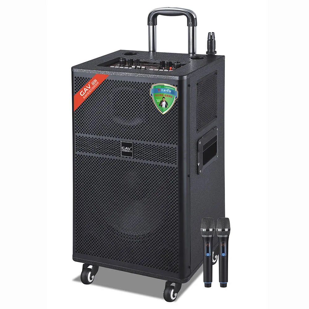 10 inch woofer professional blue tooth  rechargeable with led display portable trolley speaker with fm radio