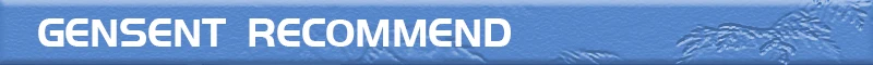 GENSENT RECOMMEND1.jpg
