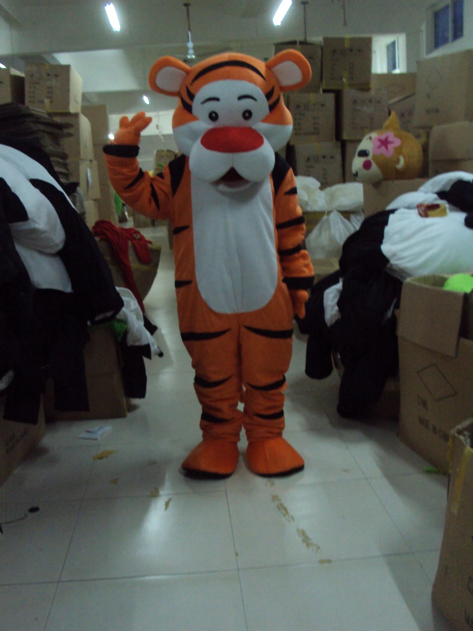 DSC03129.JPG