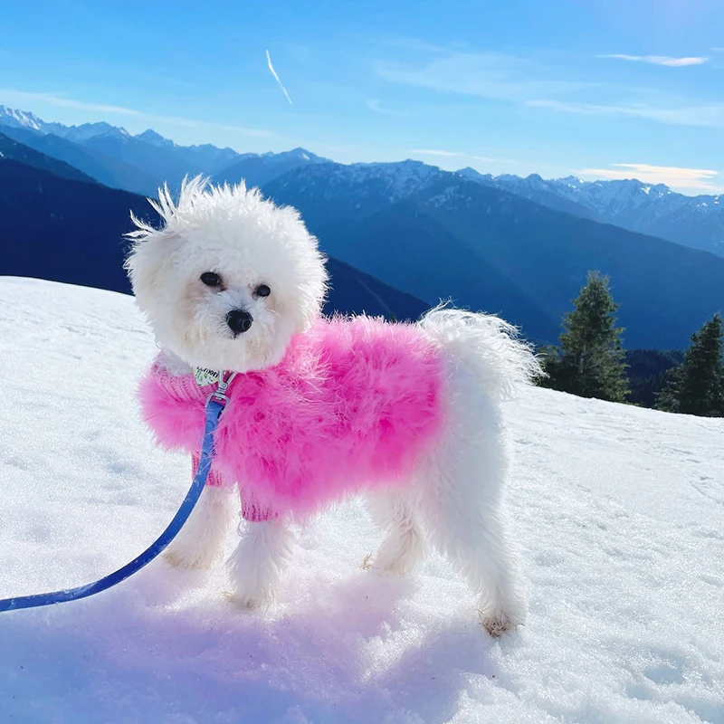 Designer Dog Clothes Knit Sweaters